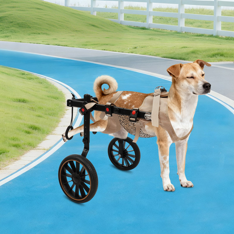 Pet Wheels Dog Wheelchair