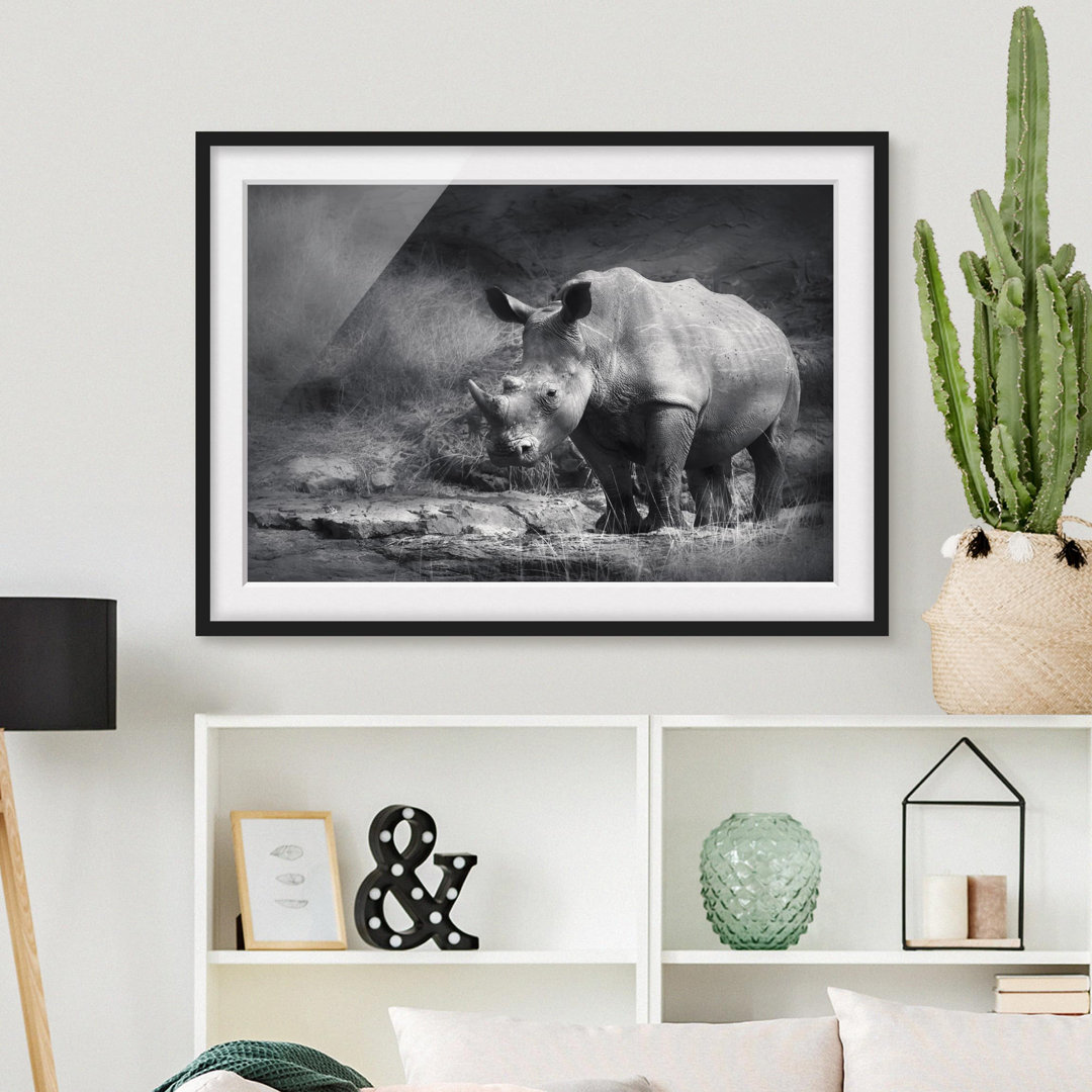 Gerahmtes Poster Lone Rhinoceros