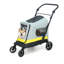 Chariot-poussette portable pliable