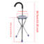 Folding Portable Walking Stick Chair