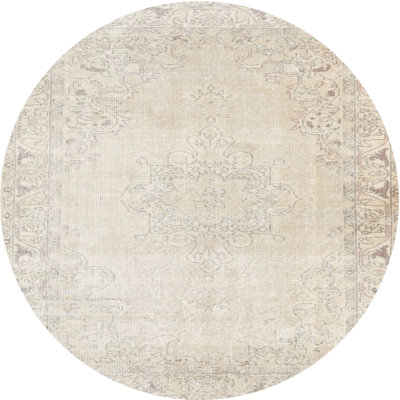 Oriental Indoor Rug