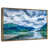 Floating Frame Gold