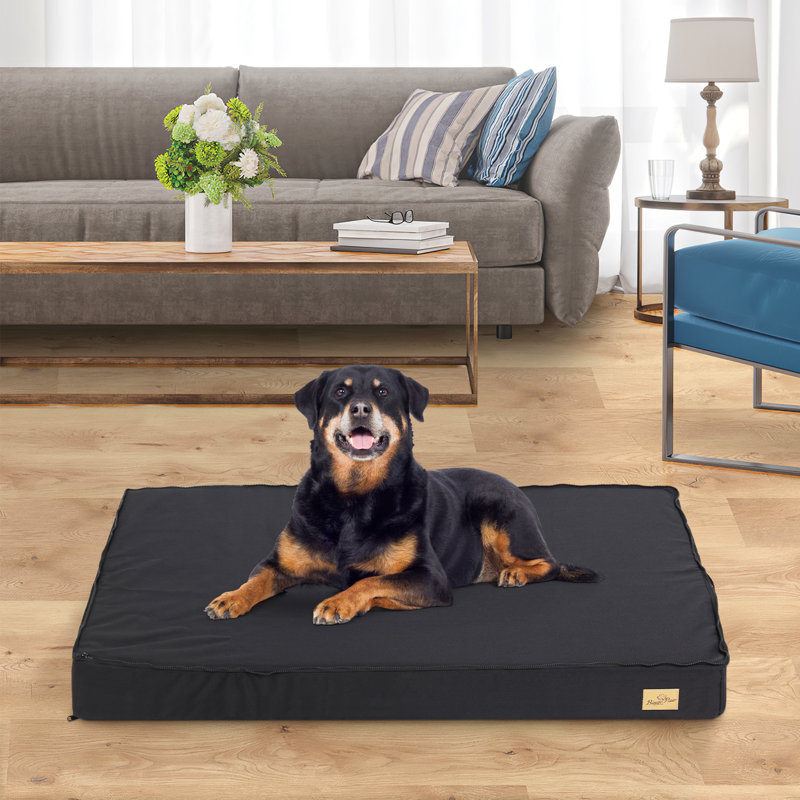 Lit pour chien plat en mousse douce antidérapante avec housse double face pour toutes les saisons