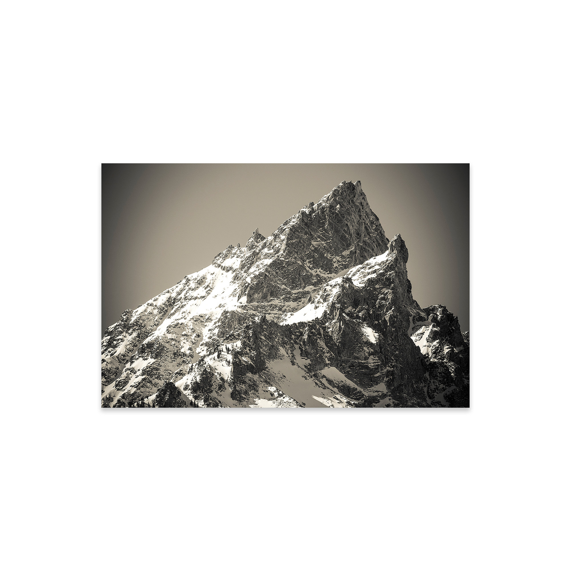 Millwood Pines Mount Teewinot In Winter, Grand Teton National Park ...