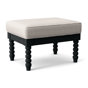 Black Finish