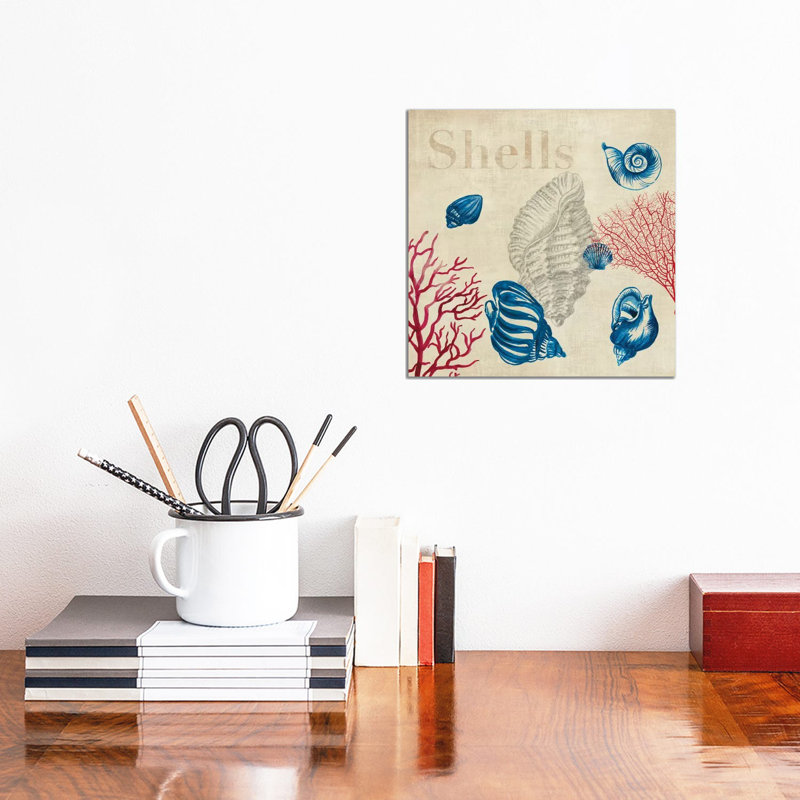 Shell Study by Aimee Wilson - Wrapped Canvas Gallery-Wrapped Canvas Giclée, 30.48 cm H x 30.48 cm W