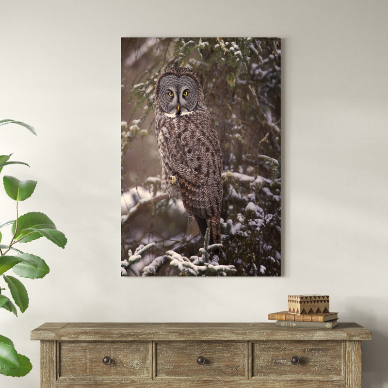 Hibou dans la neige I, H 48 po x l 32 po x P 1 po