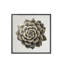 Gold Succulent B Print
