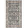Chantae Valencia Performance Oriental Rug