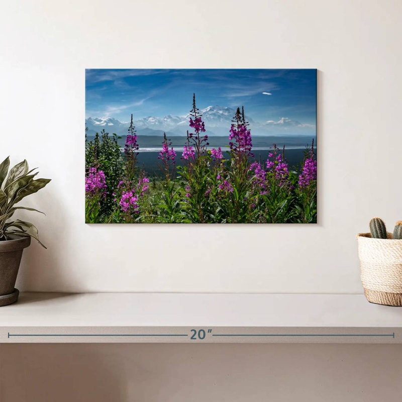 Denali Fireweeds
