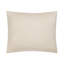 Riva Sham-2078776786