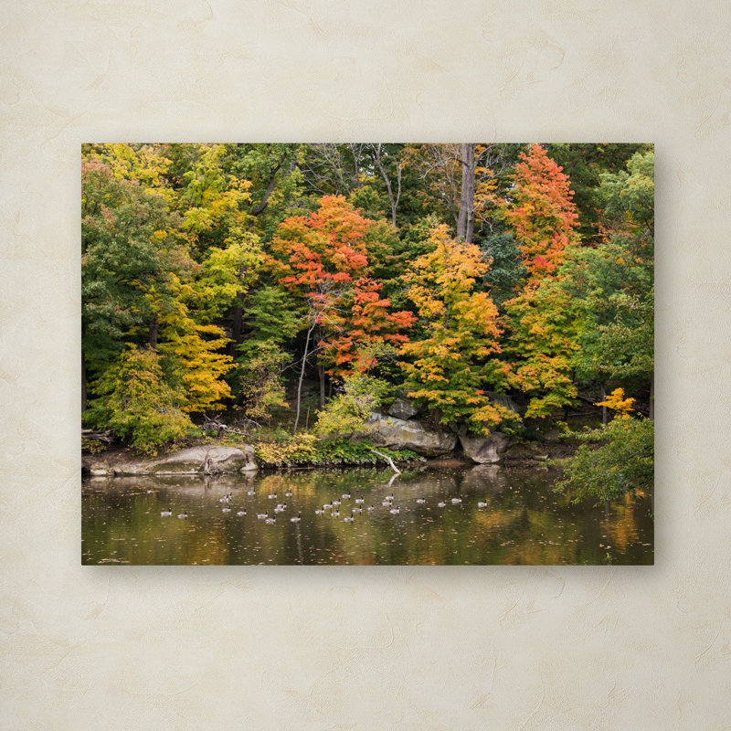 « early automne », reproduction de photo sur toile tendue, H 14 po x l 19 po x P 2 po