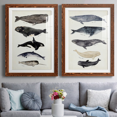 " Whale Chart I " 2 - Pieces Painting Print