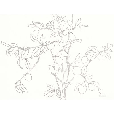 Jabrea Branching Out par Danhui Nai
