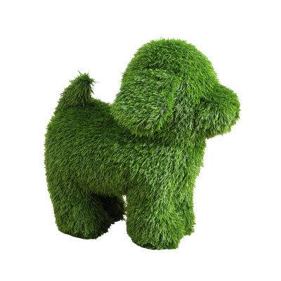 Chiot de jardin 20 po