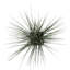 Herbe artificielle 18,95 po en pot