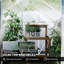 Greenhouse-121411338