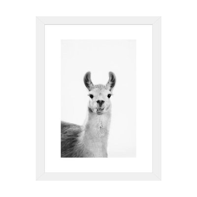 «Happy Lama» par Sissi & Seb - reproduction de photo