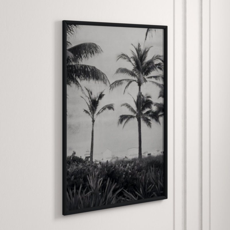 Silver Palms 1' Framed Photographic Print