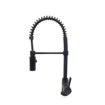 Dowell Pull Down Kitchen Faucet