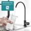 Robinet de cuisine sans plomb-98328905