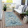  Machine Washable Indoor/Outdoor Chantille ACN1026 Rug