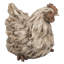 Statue de poule accroupie Driftwood