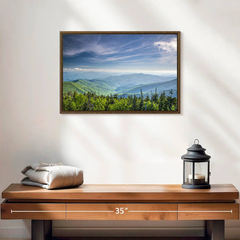Clingmans Dome Mountainscape, 19" X 13", Floating Frame Walnut
