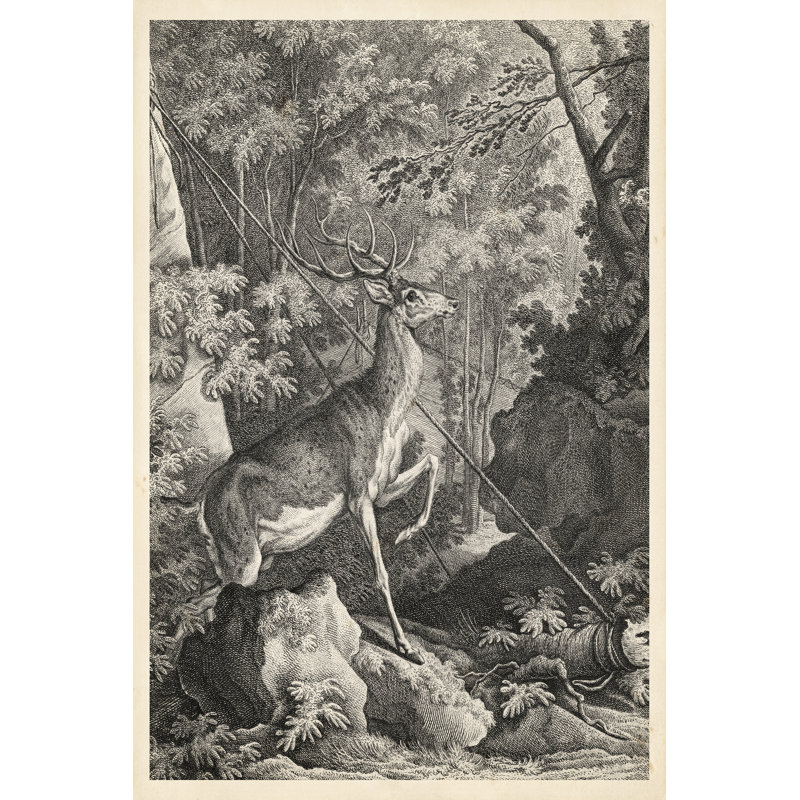Woodland Deer VII - Wrapped Canvas Print, 30cm H x 20cm W x 3.8cm D