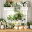 Wane Plant Table Indoor, 2 Tier Bamboo Plant Stand-806758732