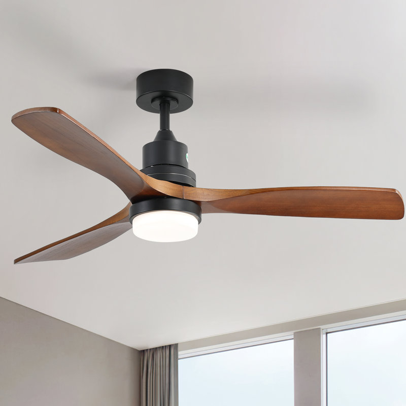 Ventilateur de plafond à DEL moderne en bois massif de 52 po à 3 pales avec télécommande et ensemble d'éclairage, Noir