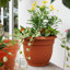 Pot à fleurs intérieur / extérieur Traditional-927975554-927975567