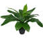 60cm Faux Fern Plant in Pot Liner-1560364592