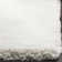 Handmade Tufted Ivory Area Rug