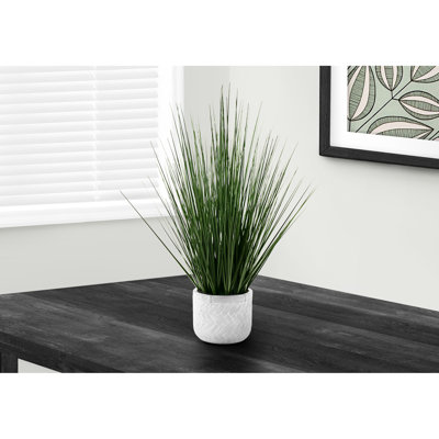 Plante Mcfadden en fausse herbe en pot de ciment