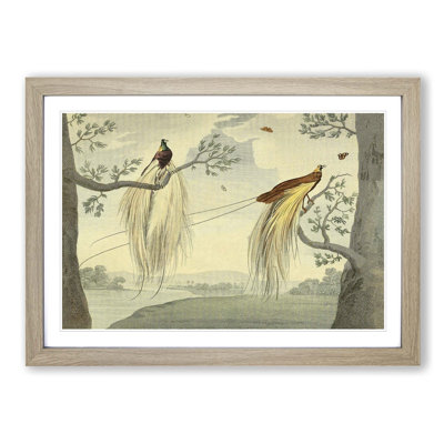 Single Picture Frame Painting