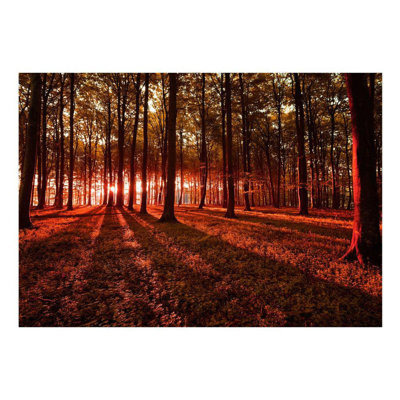 Fineas Autumn Morning Wall Mural