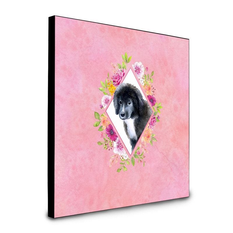 Panneau mural Dollman Flowers, Rose, Chiot Terre-Neuve