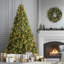 Carolina Flocked/Frosted Christmas Tree-1687330706