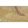 Astri Area Rug