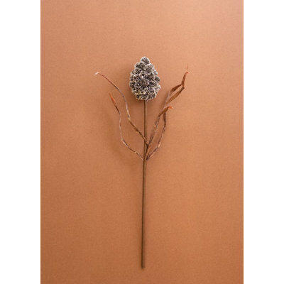 Kalalou Pinecone