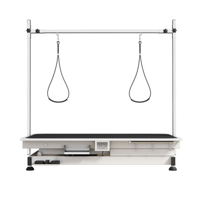 Table de toilettage électrique pour animaux, toiletteur professionnel 110V / 220V