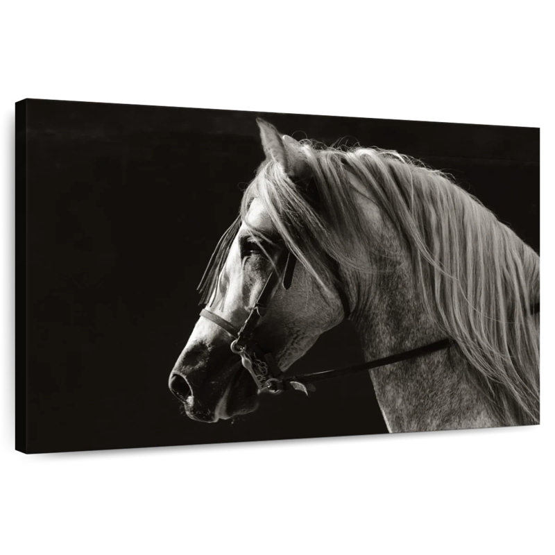 Horse With Long Mane, 34" H x 51" W