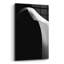 "Lily On Black 01" par Tom Quartermaine-498187688