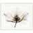White Frame is out of stock