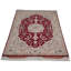 Necdet Oriental Area Rug in Burgundy