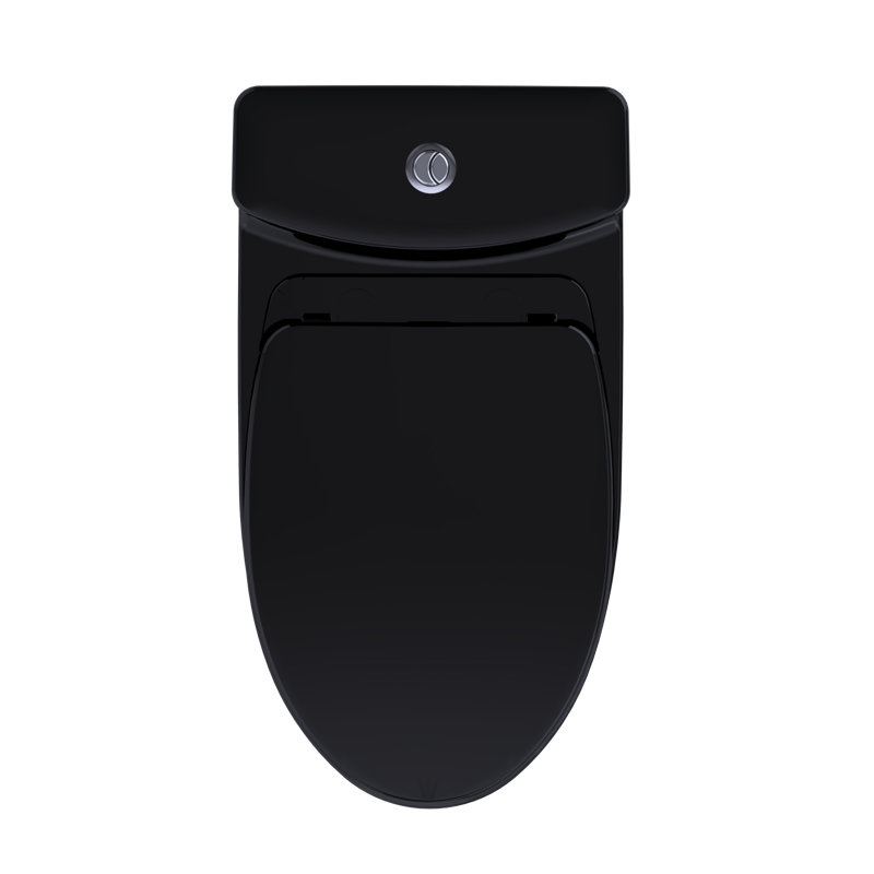 Aquia® Dual-Flush Elongated One-Piece Toilet with Tornado Flush (Seat Included)