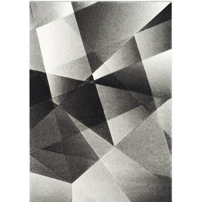 Asumi Wimbled Gray/Black Area Area Rug