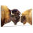 Brampt Bisons I-107854295