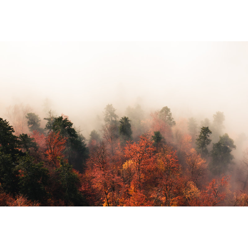Trees In The Fog, 30cm H x 46cm W